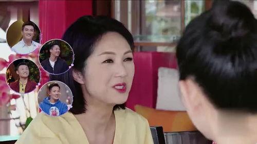 王室最新爆料新闻视频,最新爆料视频揭露王室不为人知的一面